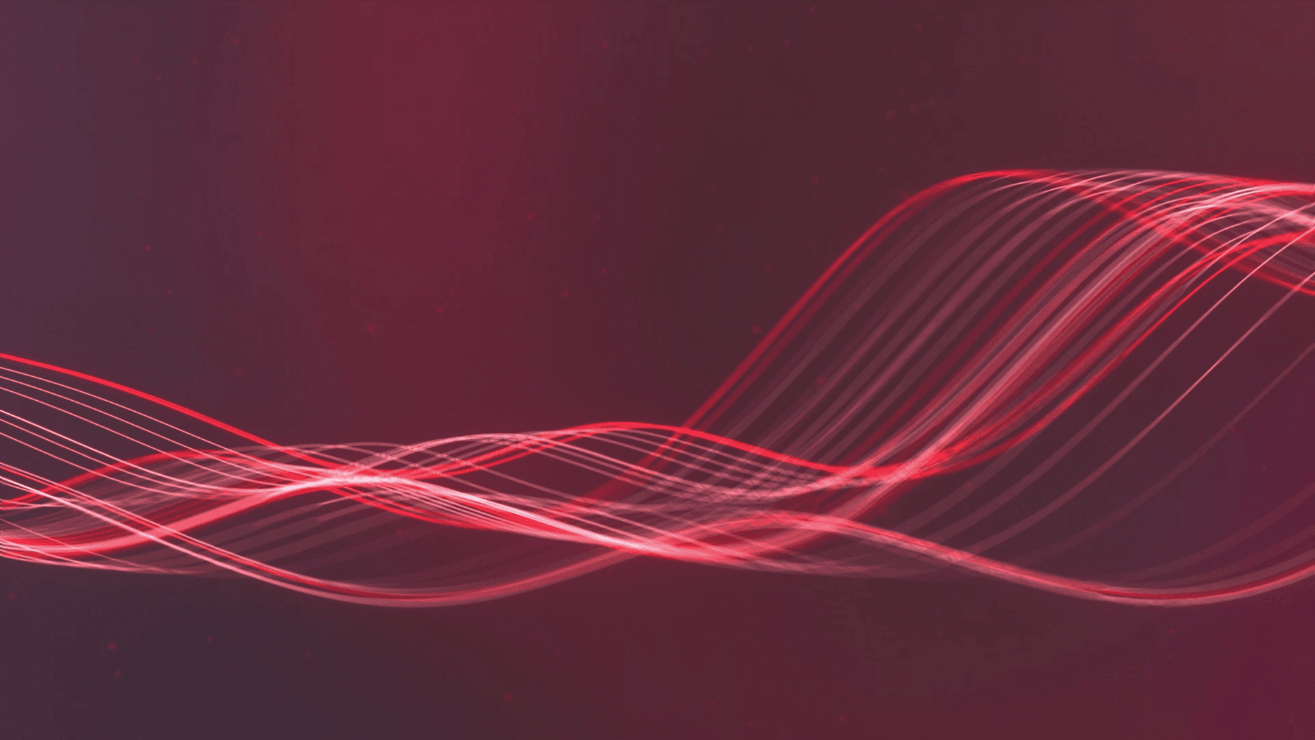 Fine red light waves flowing across a dark background.